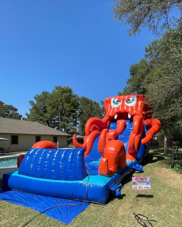 20 ft octopus waterslide