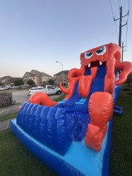 IMG 2811 1748014450 20 ft octopus waterslide