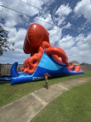IMG 3001 1748014449 20 ft octopus waterslide