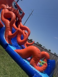 IMG 3015 1748014449 20 ft octopus waterslide